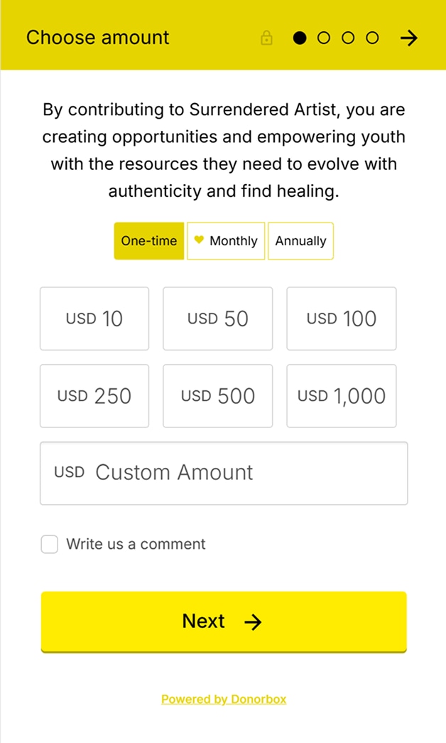 Donation widget — Choose amount